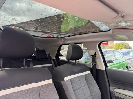 Citroen C4 Cactus PURETECH FLAIR S/S 12