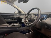 Hyundai TUCSON 1.6 T-GDi 13.8kWh Premium SUV 5dr Petrol Plug-in Hybrid Auto 4WD Euro 6 (s/ 12