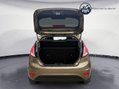 Ford Fiesta 1.0T EcoBoost Titanium Euro 5 (s/s) 5dr 25