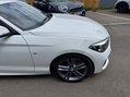BMW 1 Series 118I M SPORT SHADOW EDITION 4