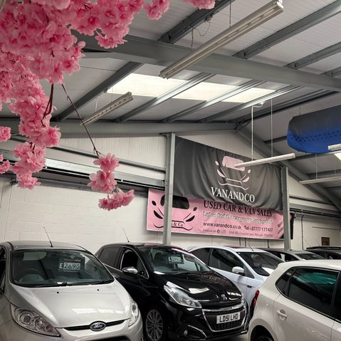 Welcome to Van & Co 8