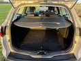 Ford Focus TITANIUM NAVIGATOR TDCI 13