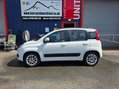 Fiat Panda TWINAIR LOUNGE DUALOGIC 5