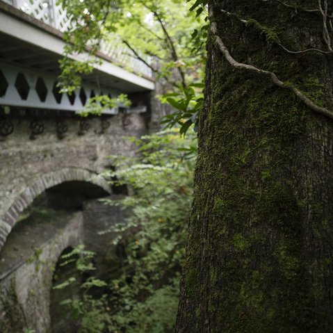 What's in a name? Pont