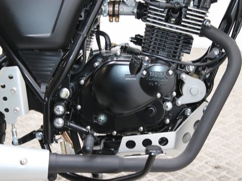Mutt Akita 125 Pre-registered 21