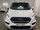 Ford Transit Custom 320 LIMITED P/V ECOBLUE