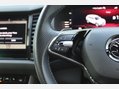 Skoda Kodiaq 1.5 TSI ACT SportLine DSG [7 Seat] 18