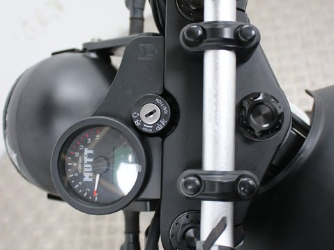 Mutt Mastiff 125 Pre-registered 24