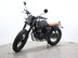 Mutt Akita 125 Pre-registered 9