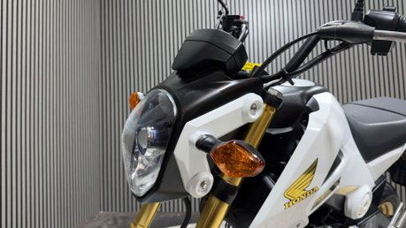 Honda MSX125 2015 ONLY 8K VERY CLEAN MINI MONKEY BIKE 125CC 18