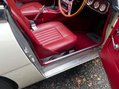 Austin Healey 3000 15