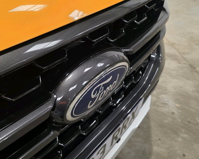 Ford Ranger RANGER Double Cab Pickup Wildtrak 2.0 EcoBlue 205 Auto