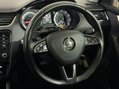 Skoda Octavia SE L 2.0 TDI 4X4 MANUAL 14