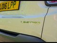 Jeep Renegade 2.0 Renegade Limited Edition MultiJet 4x4 4WD 5dr 37