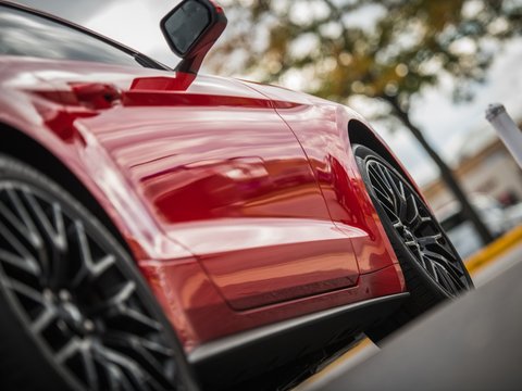 Williams Ceramic Coat