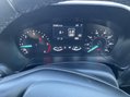 Ford Kuga TITANIUM FIRST EDITION ECOBLUE 12