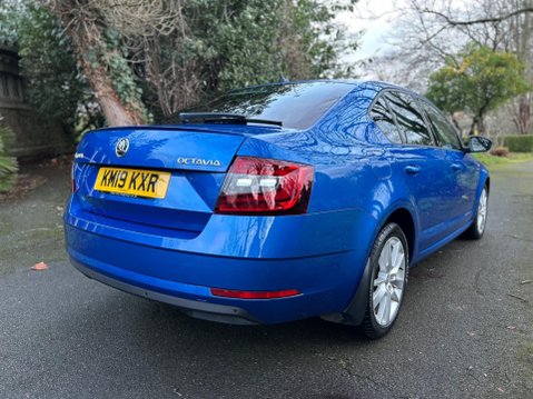 Skoda Octavia SE L TSI DSG 19