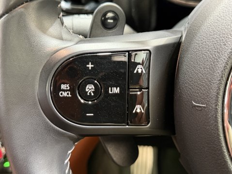 Mini Countryman JOHN COOPER WORKS ALL4 42