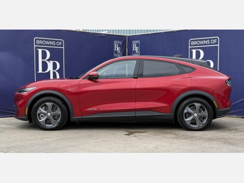 Ford Mustang Mach-E Extended Range 91kWh SUV 5dr Electric Automatic (294 ps) 7