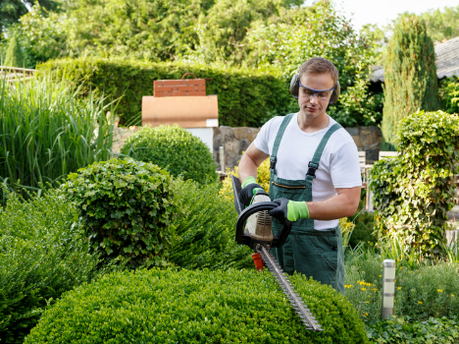 Top 5 Best Vans for Gardeners