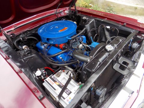 Ford Mustang 289 Hardtop Coupe 38