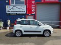 Fiat Panda TWINAIR LOUNGE DUALOGIC 4