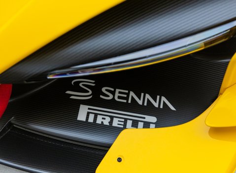 McLaren Senna GTR LM 51