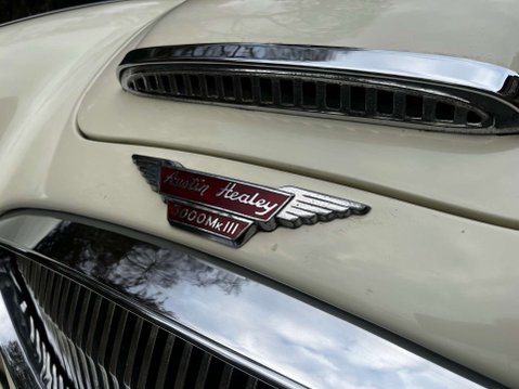 Austin Healey 3000 48