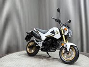 Honda MSX125 2015 ONLY 8K VERY CLEAN MINI MONKEY BIKE 125CC 3
