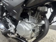 Honda CBF125 CBF125 2012 ONLY 5K VERY CLEAN 125CC LEARNER BIKE COMMUTER 37