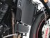 Triumph Speed Triple 1050 SPEED TRIPLE 1050 RS 38