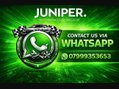 Ford Focus 2.5 SIV ST-500 Hatchback 5dr Petrol Manual (224 g/km, 221 bhp) 53
