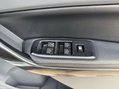 Ford Ranger WILDTRAK 4X4 DCB TDCI 36