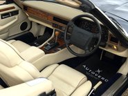 Jaguar XJS V12 CONVERTIBLE 2+2 42