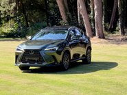 Lexus NX 350H 27