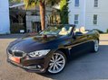 BMW 4 Series 2.0 420d Luxury Auto Euro 6 (s/s) 2dr 41