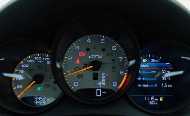 Porsche Cayman GT4 (718) 18