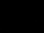 BMW M4 3.0 BiTurbo Coupe 2dr Petrol DCT Euro 6 (s/s) (431 ps) 40