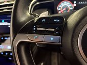 Hyundai TUCSON 1.6 Tucson Premium TGDi HEV Auto 5dr 18