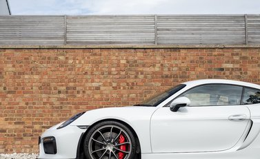 Porsche Cayman (981) GT4 24