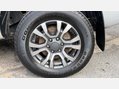 Ford Ranger WILDTRAK ECOBLUE 16