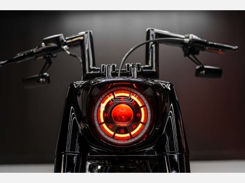 Harley-Davidson Terminator REV-9 38