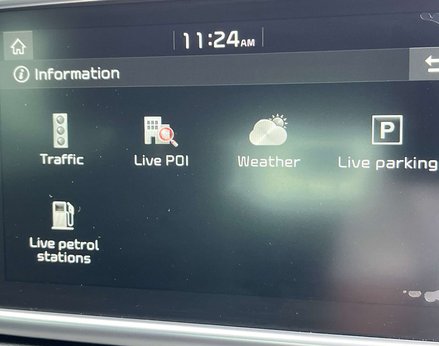 Kia Sportage 1.6 Sportage Platinum Edition ISG 5dr 38