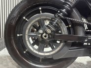 Harley-Davidson Sportster 883 XL883N IRON 2019 ONLY 5K STAGE 1 CUSTOM CRUISER BIKE 24