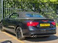 Audi A5 2.0 A5 S Line Special Edition+ TDI 2dr 36