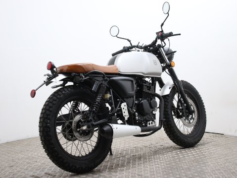 Mutt Akita 125 Pre-registered 3
