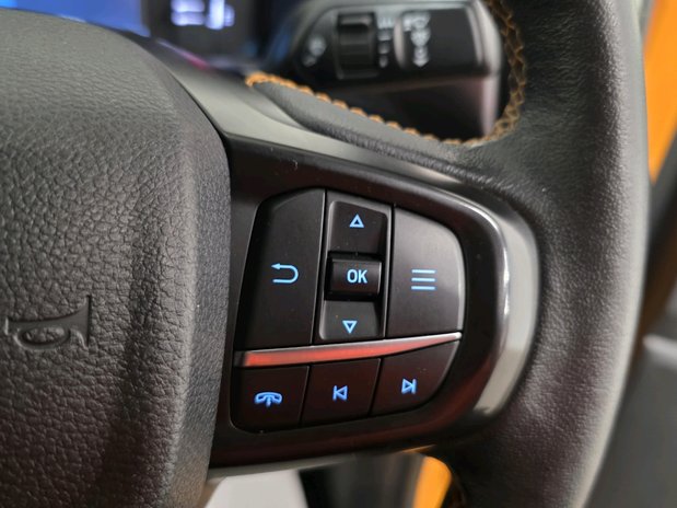 Ford Ranger RANGER Double Cab Pickup Wildtrak 2.0 EcoBlue 205 Auto 24