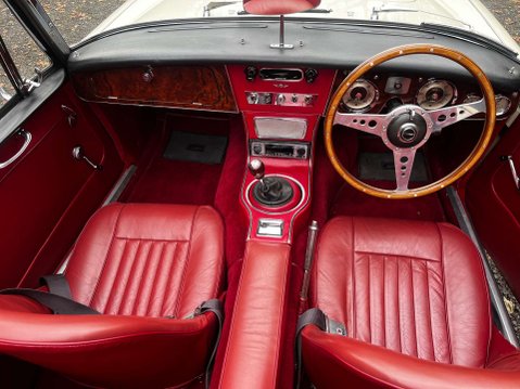 Austin Healey 3000 13