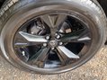 Lexus NX 300H SPORT 19