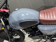 Mutt Hilts 2021 ONLY 529 MILES 1 OWNER WARRANTY 125CC SCRAMBLER 35